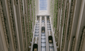 InterContinental Brisbane Welcomes Guests as the Brand's First Property