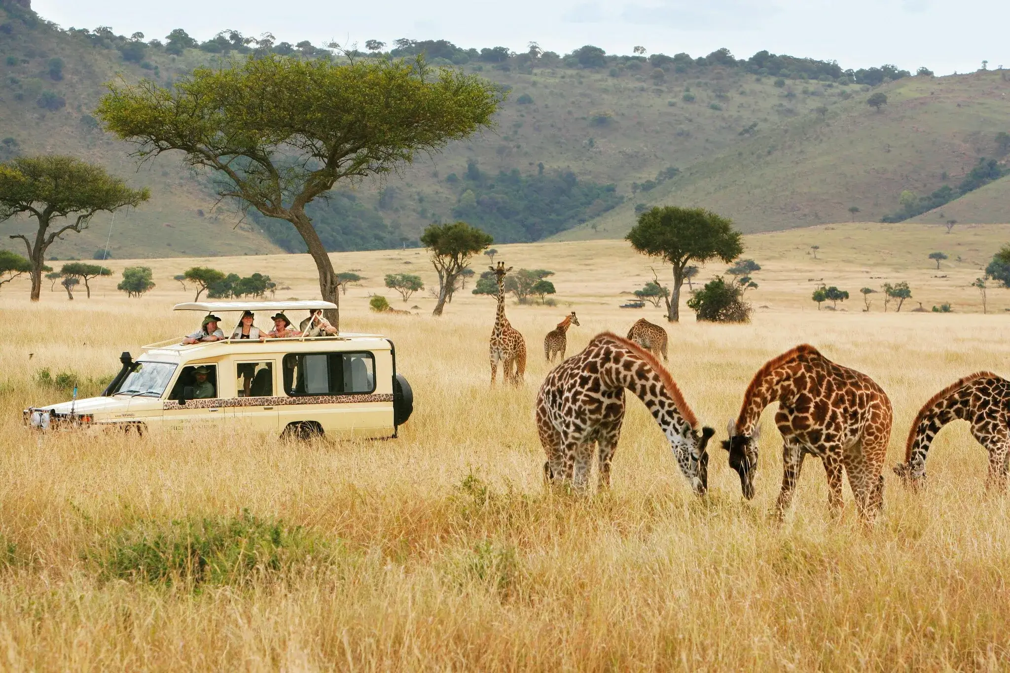 Ultimate Guide to Places to Visit in Africa