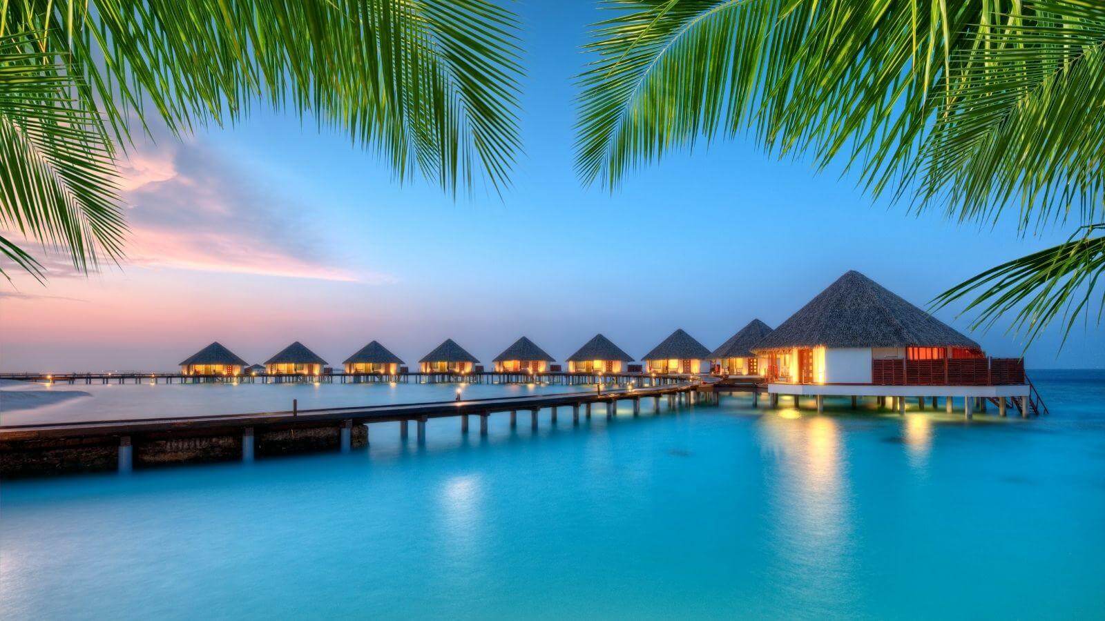 Surge in Maldives Tourism: A Bright Future Ahead in 2025