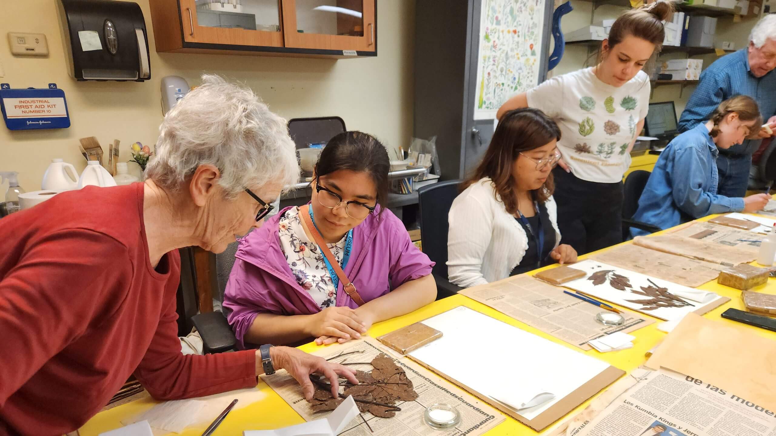Collaborative Efforts in Botanical Preservation at the Penn Museum