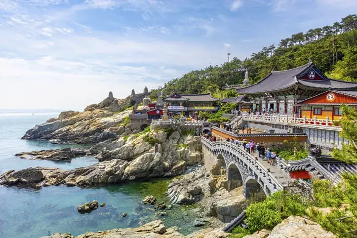 Busan Insights: A Closer Look at South Korea’s Dynamic Coastal City and Travel Essentials