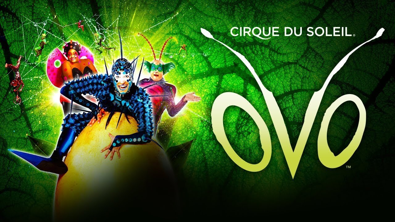 Cirque du Soleil’s 'Ovo' Returns to Royal Albert Hall with Exciting Coach Holiday Options
