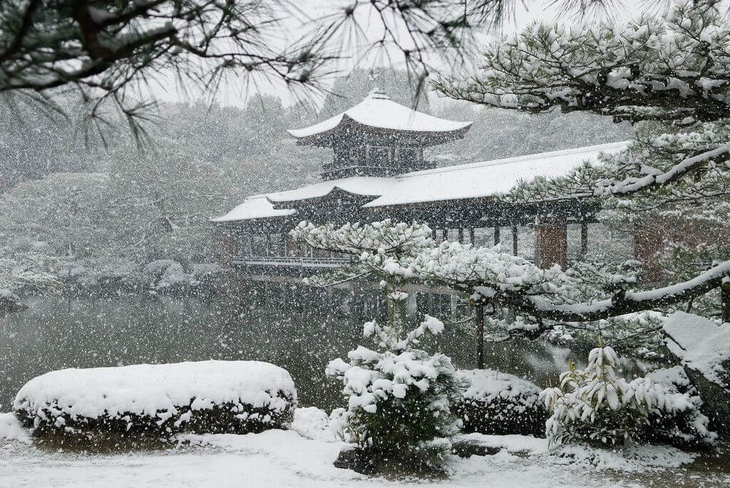 Experience Japan’s Stunning Winter Tours from Tokyo: Snowy Landscapes and Hot Springs Await