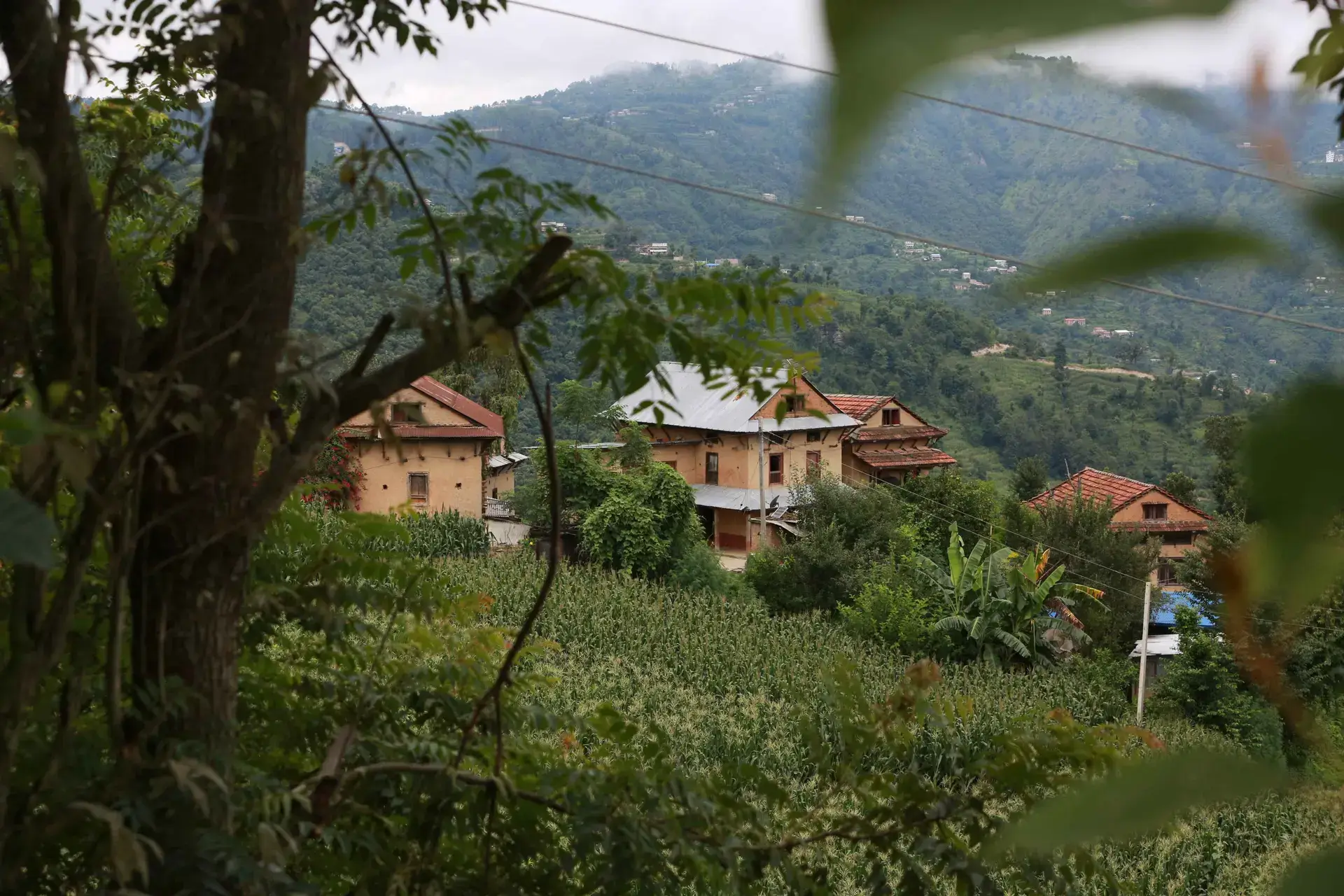 How Community Homestays in Flores, Indonesia Foster Sustainable Tourism and Local Benefits