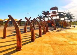 Top Things to Do in Odessa, TX: Your Guide to Fun Adventures