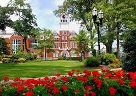 Uncover Amazing Things to Do in McDonough, GA