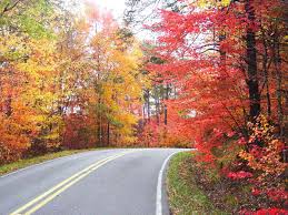 Uncover Amazing Things to Do in Mentone AL