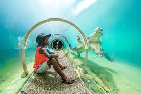 Ultimate Guide to Things to Do in Miami with Kids