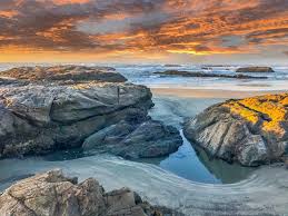 Exploration Awaits: Top Things to Do in Fort Bragg