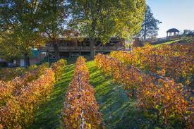 Uncover Unique Things to Do in Hermann, MO