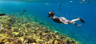 Amazing Things to Do in Kihei