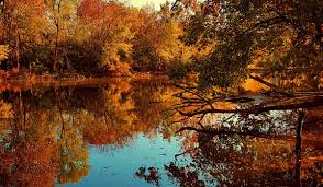 Top Things to Do in Murfreesboro for Everyone