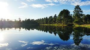 Your Ultimate Guide to Things to Do in Bay St. Louis