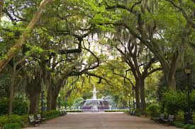 Ultimate Guide to Fun Things to Do in Savannah, GA for Adults