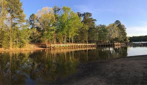 Top Things to Do in Cary NC: Discover Local Attractions