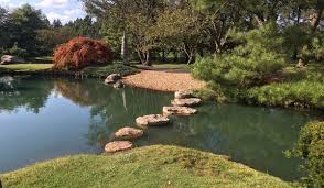 Exciting Fun Things to Do in Springfield, MO