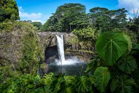 Unforgettable Things to Do in Hilo