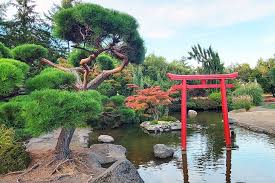 Amazing Things to Do in Tacoma, Washington