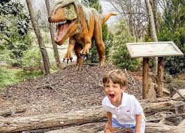 Ultimate Guide to Things to Do in Nashville with Teens