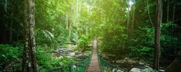 How India and ASEAN's Sustainable Tourism Pact Promotes Eco-Friendly Travel and Pollution Control