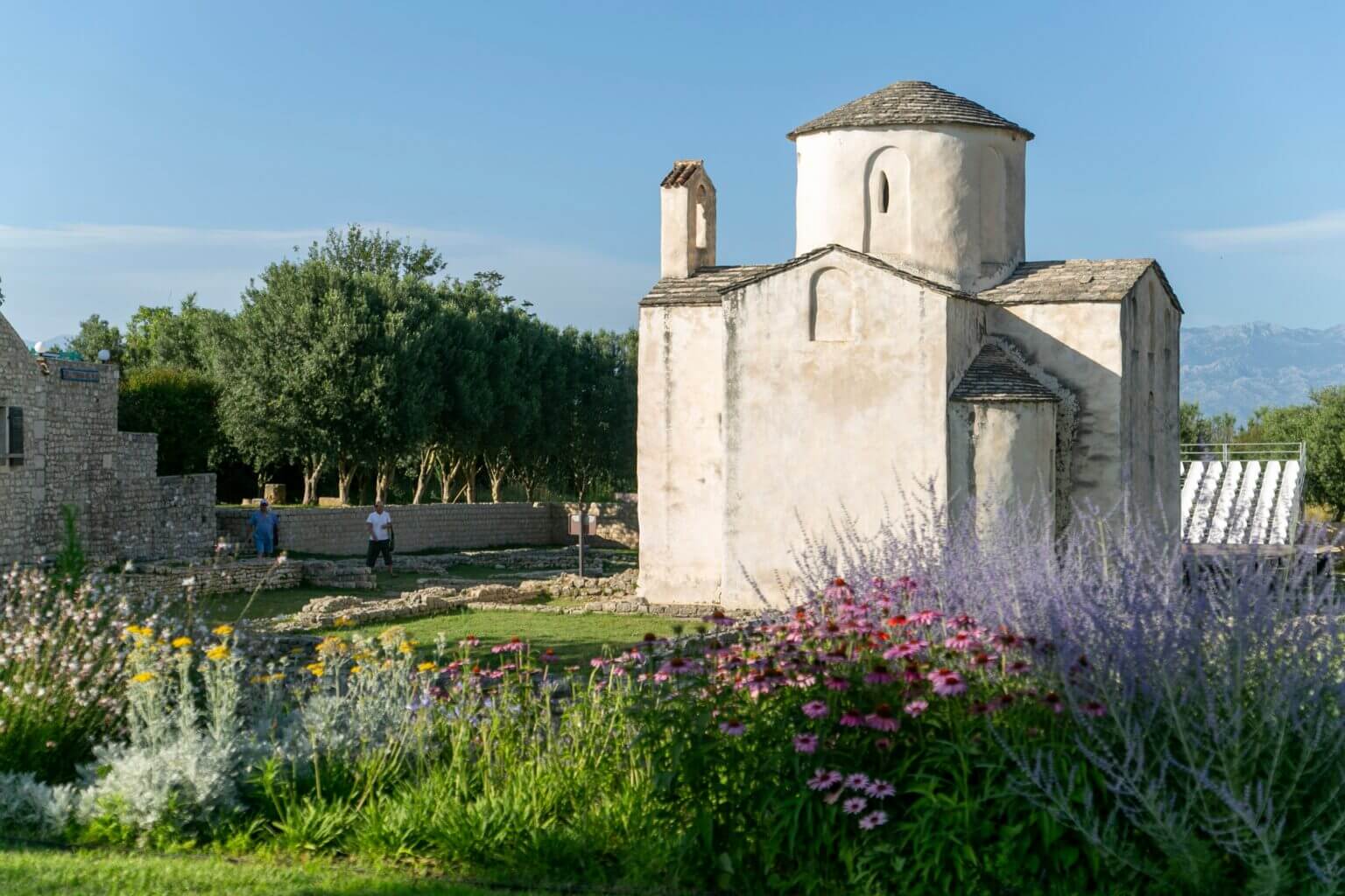 Nin’s Growing Commitment to Sustainable Tourism through Tree Planting and Green Initiatives