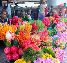 Solomon Islands to Reinvent Its Tourism Image with “Happy Isles” Branding and Strategic Market Expansion