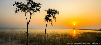 How Debrigarh Wildlife Sanctuary is Elevating Eco-Tourism With Innovative Nature Camps and Canopy Walks