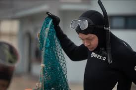 Stephen Mulhern’s Bold Encounter with Fears and New Experiences in South Korea