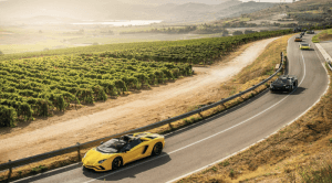 Experience Captivating Expert-Guided Adventures from Captain’s Choice in 2026