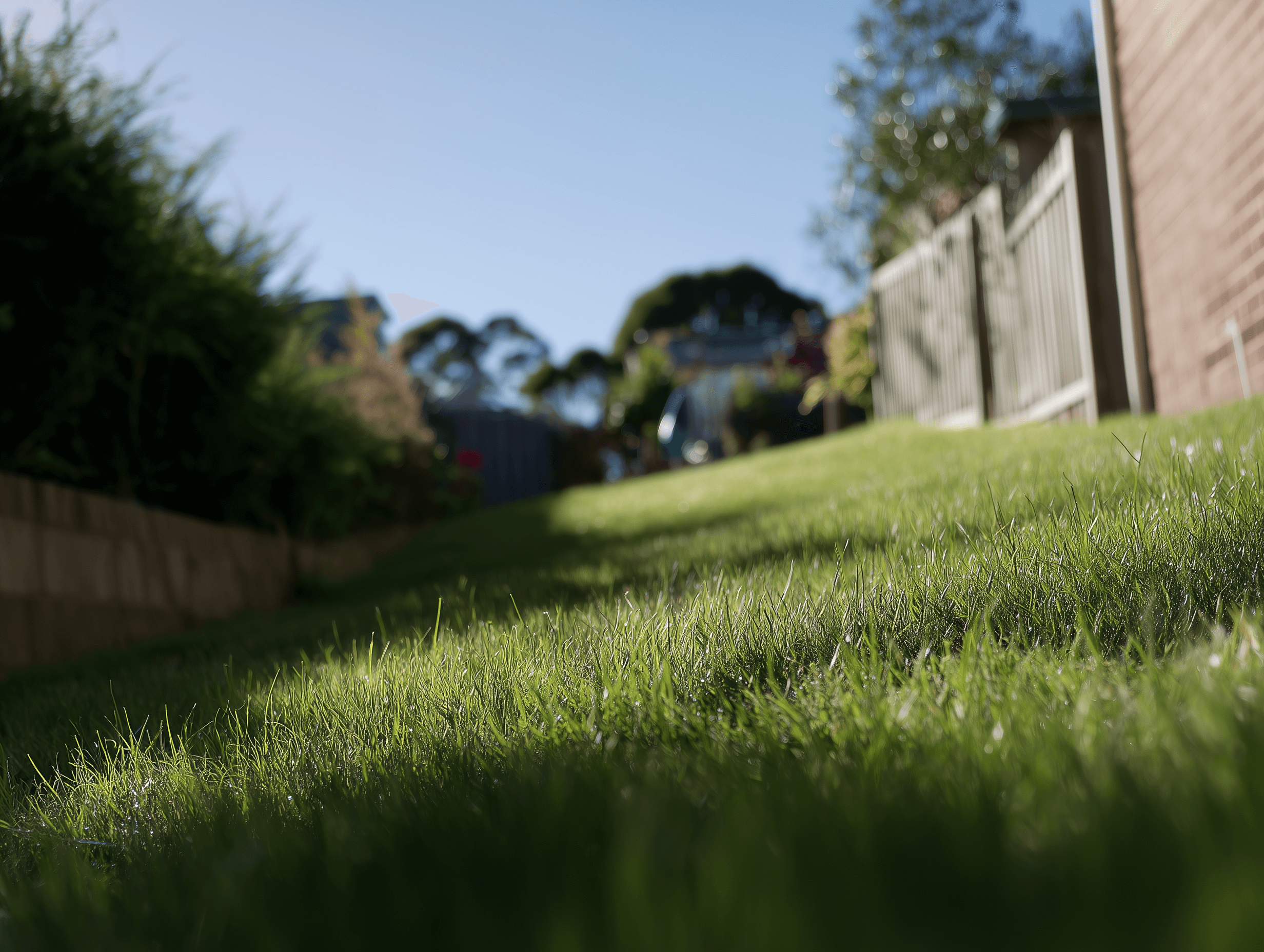 Why "SitePrep" Recommends Professional Site Assessment Before Pool Installation