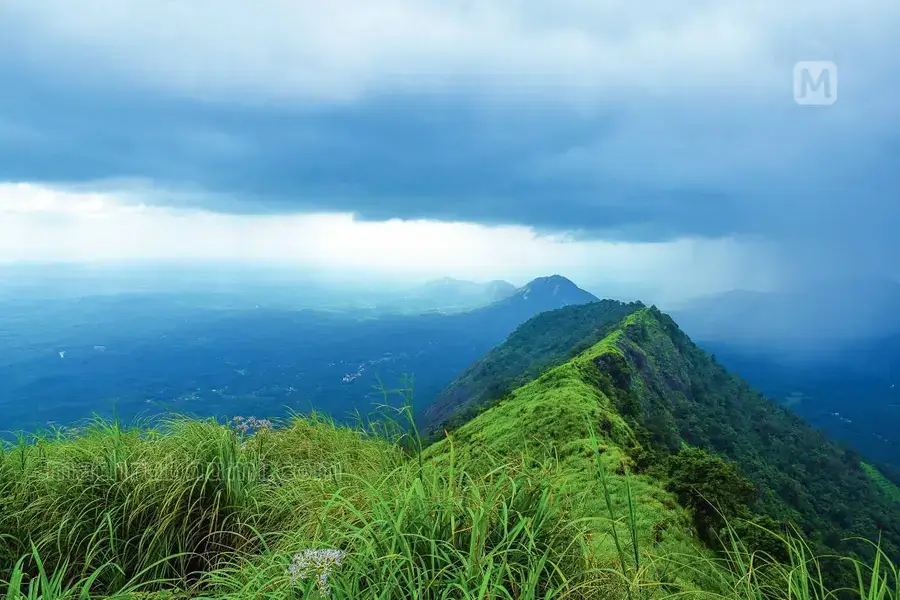 Kerala posts record tourist inflows in 2025 — Idukki leads, Ernakulam and Thiruvananthapuram follow